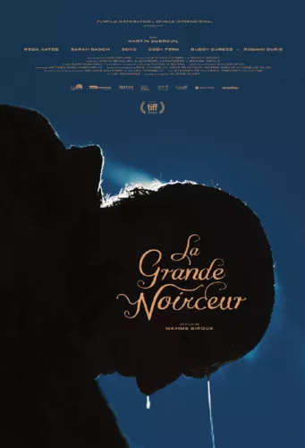 La Grande noirceur