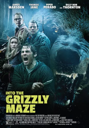 Dans l’antre du grizzly