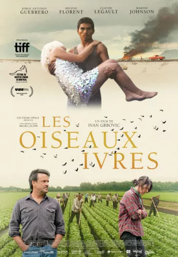 Les Oiseaux ivres