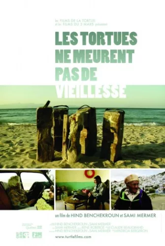 Les Tortues ne meurent pas de vieillesse
