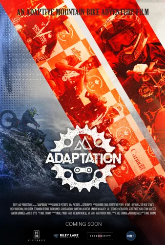 Adaptation