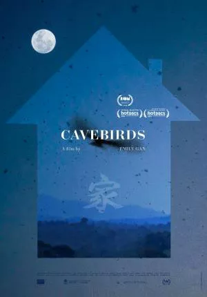 Cavebirds