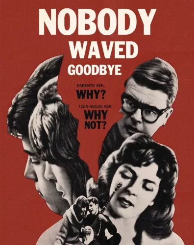 Nobody Waved Goodbye